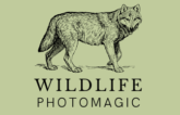 WildlifePhotoMagic